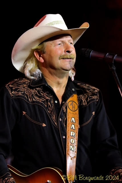 Alan web